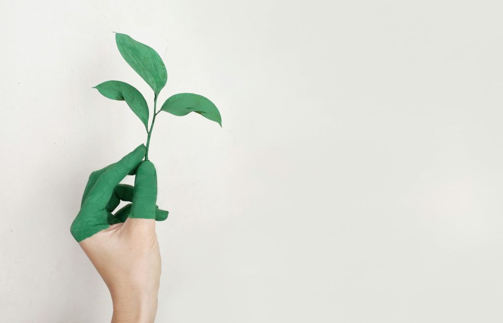 Eco-Friendly Moves